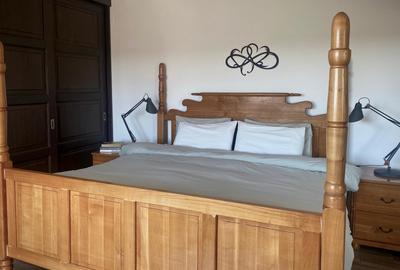 Proprietate pe stradă privatǎ, complet mobilată, curte matură, terasă - 11