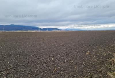 Teren extravilan 2,9 HA,intre Cristian si Vulcan - 4