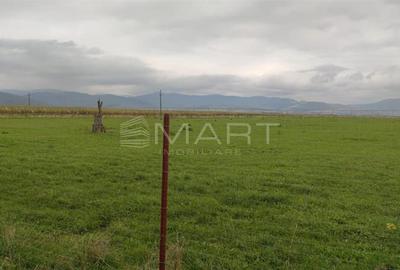 Teren  intravilan cu PUZ 30.000 mp Prejmer - 2