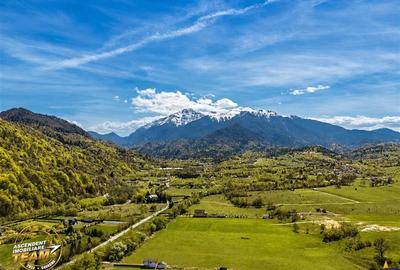 LUX Vila cu parc privat 1.250mp, spa, barbeque, privelisti pretioase, Rasnov - 18