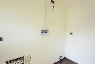 Duplex despartit prin camera tehnica, 3 camere - Beregsau Mare - 20