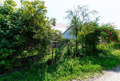 Casă  cu 10 camere in 2 corpuri de cladire (se pot vinde separat) - 36