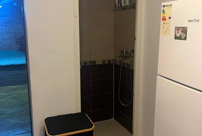 Garsoniera Unirii / Metrou / Horoscop - 8