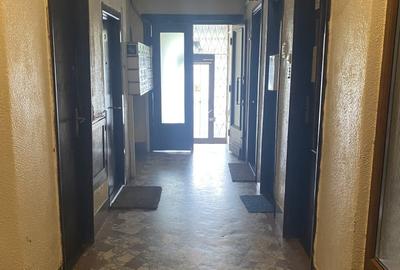 Inchiriere garsoniera Armeneasca - 10