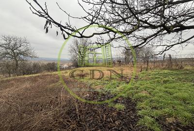 Casă de vânzare SantaMarie județul Alba - 5