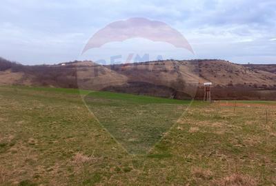 Teren generos 3400 mp în Pâclișa – Criseni zona linistita - 6