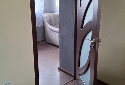 Casa 3 camere  recent renovata in Nadlac - 16