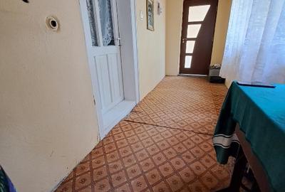 Vand casa în Ucuriș Bihor - 10
