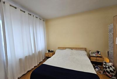 Casă individuală 7 camere, P+E+M, 2000, Timișoara, zona Dâmbovița, comision 0% - 17