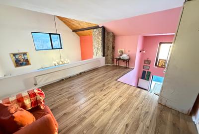 Vila P + M , 4 dormitoare, Traian - 6