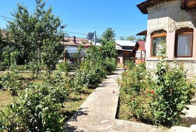 VANZARE CASA + TEREN 1000 MP. - ODAIA TURCULUI, DB - 4