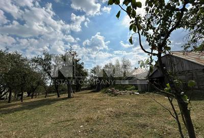 Casa Bătrânească + Teren 25 Ari | Horodniceni/Suceava I 44.000Euro - 4
