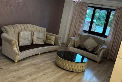 Apartament 2 camere si curte Damaroaia - 2