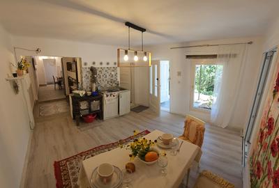 Casa individuala 160 mp - Moneasa Jud. Arad - 1