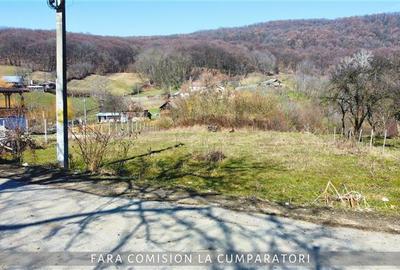 TEREN 872 MP, ZONA LINISTITA, AER CURAT - 6