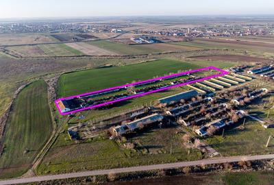 NĂDLAC | Teren 1.15 HA lângă Autostradă | 2.500mp Hale - 1