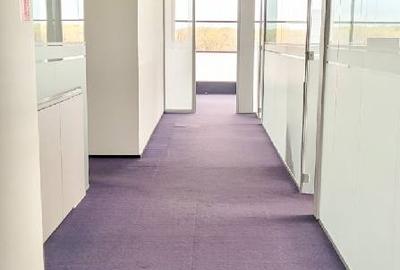 Baneasa Business & Technology Park cladirea A, Baneasa, 350 - 852 mp  0% comision! - 15