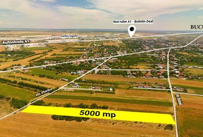 Teren intravilan construibil Bolintin Deal 5000 mp – dublă deschidere - 3