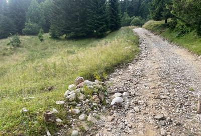 Teren intravilan dezvoltare turistica Hoteluri/Pensiuni S+P+2E+M - 5