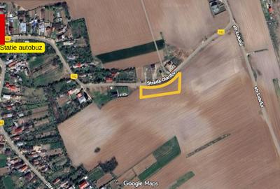 Teren pentru constructie casa cu utilitati in Ciolpani-Piscu str. Olarilor - 1