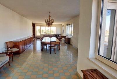 REA1017064 Penthouse Herastrau - 350 mp utili  - 350 mp terasa - 5