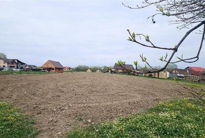 Teren 1.700 mp intravilan, natura, vecinatati bune, potential dublu, Lunca Calni - 1