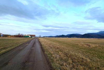 Teren extravilan de 5000 mp, în Pănicel