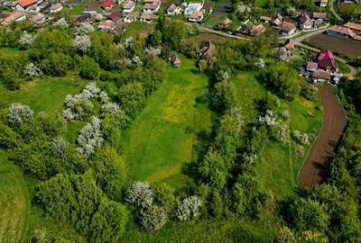 Domeniu de 3.400 mp cu traditionala casa, Suveica, Acatari Mures - 11