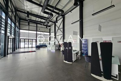 Service auto cu showroom si linie ITP, Cisnadie - 3