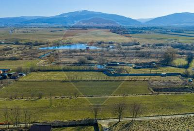 Teren Intravilan 5.000 mp Prejmer -  Strada Preot Ioan Popescu - 8