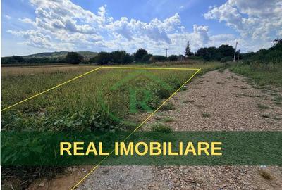 Teren intravilan de 6600 mp, în Nișcov