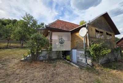 Casă cu teren si pomi fructiferi sat Vălișoara,jud HD la 28 km de Deva - 2