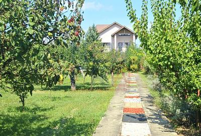 PROPRIETATE DEOSEBITĂ CU POTENȚIAL REZIDENȚIAL ȘI  BUSINESS – MOVILA, NICULEȘTI - 10