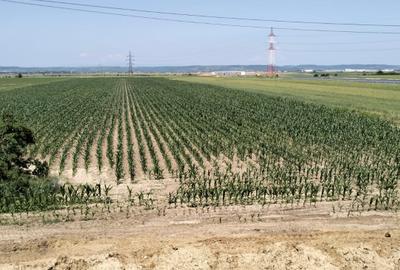 Teren Oarja de 8 400 mp, langa Pasarela A1, 5,5 euro/mp la Pretul 46 200 Euro. - 6