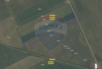 Teren agricol extravilan de 16200 mp, în Hărman