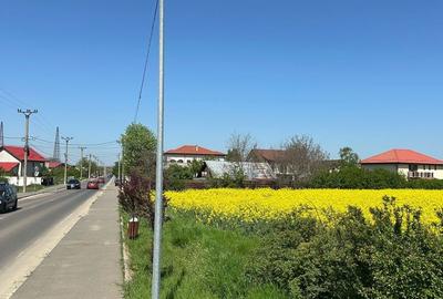 Teren intravilan 26.300 mp Saftica Balotesti - PUZ în lucru - 19