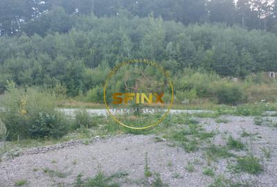 Teren intravilan 15.000 mp Busteni - 2