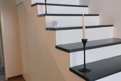 Vanzare/inchiriere duplex Trivale, mobilat, teren 300mp - 18