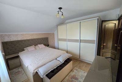 Casa de Vis, Serbanesti - 18