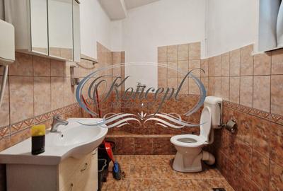 Spatiu pentru birouri, zona Platinia Ursus - 10