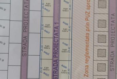 TECHIRGHIOL-ZONA DE VILE NOI-LINGA STADION- LOTUL 5 SI LOTUL 6 - 6