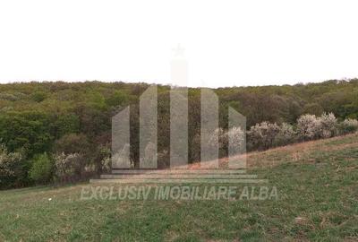 Teren intravilan | De vanzare | 1808 mp | 18 ml deschidere | Seigau - 7