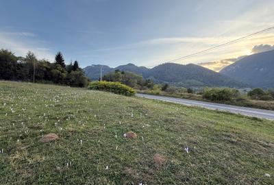 Teren intravilan 500 sau 1000 mp Bran-Tohanita la dum asfaltat - 6
