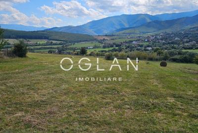 Teren Tocile (parcelabil) 3500 mp - 12