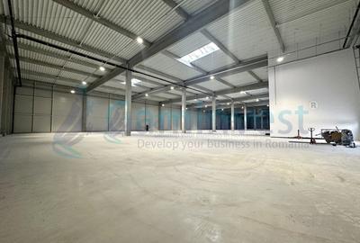 Hală industrială nouă lângă Oradea si A3, Bihor - 11