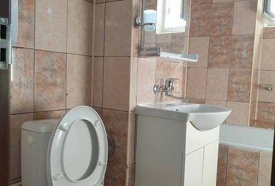 Apartament 1 camera recent renovat Nicolina 1 - 7
