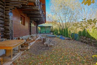 CASA INCONJURATA DE NATURA | DIN BUSTENI | 8 CAMERE | TIMISUL DE JOS - 35