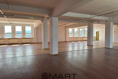 Birou, 500 mp în Broscărie