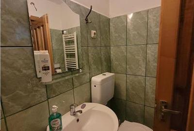 Pensiune cu Aspect Specific Maramuresean, Agigea - 17