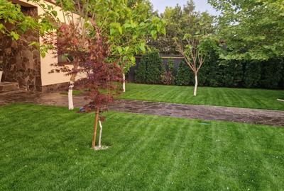 Fundulea – Vila individuala  P+1 cu teren 1000 mp - 4